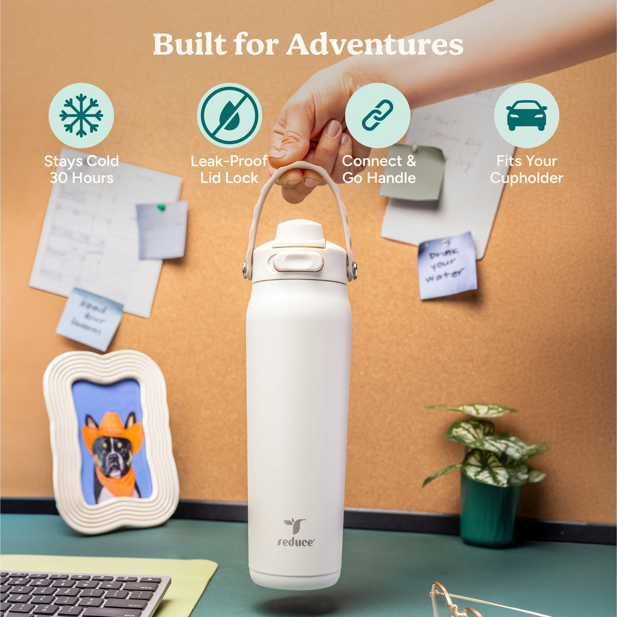 aura-26-oz-s5 Aura_26oz_Unbleached_PDP_Infographic_1.jpg