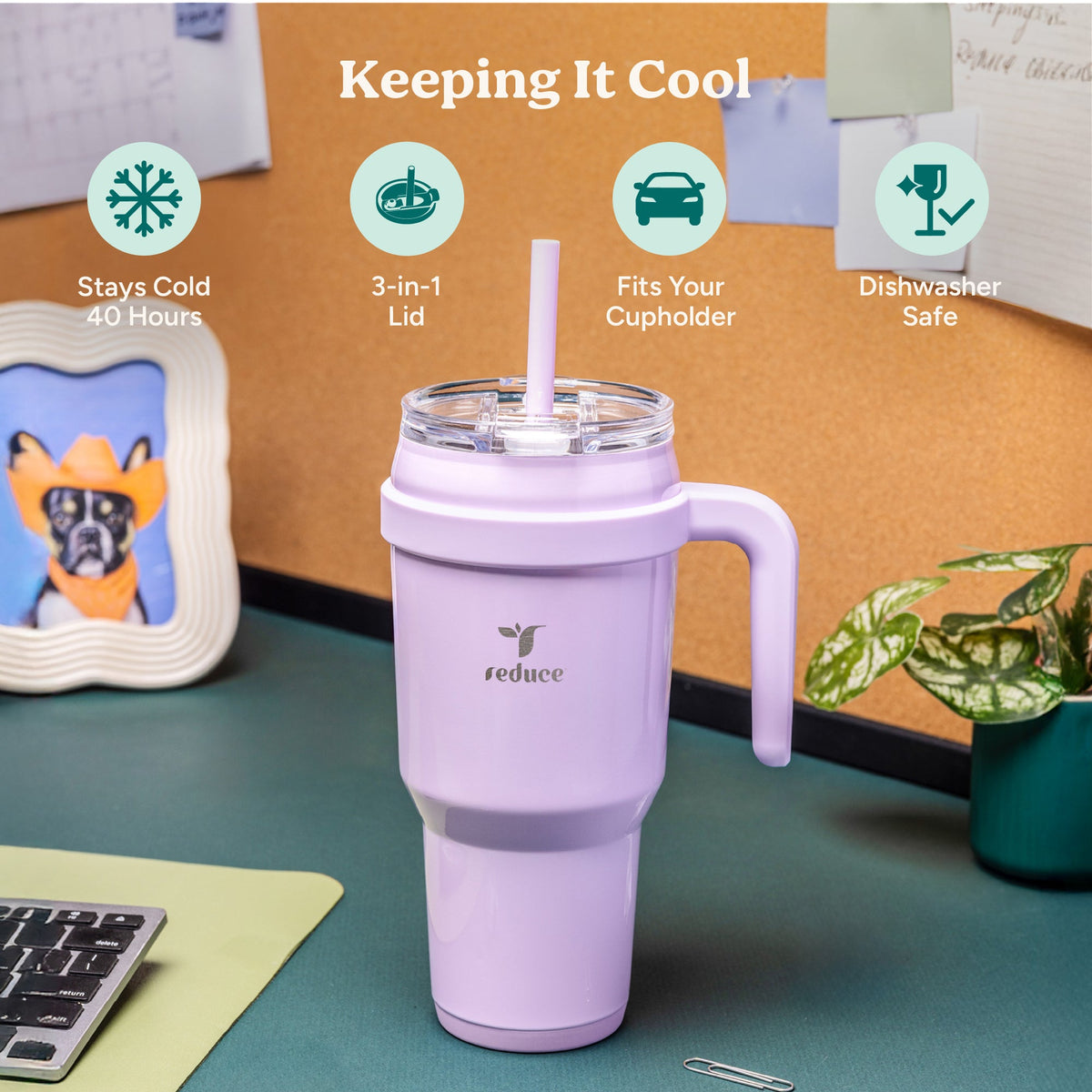 cold1-40-oz-v6 Cold1_40oz_PalmLeaf_Infographic_1.jpg